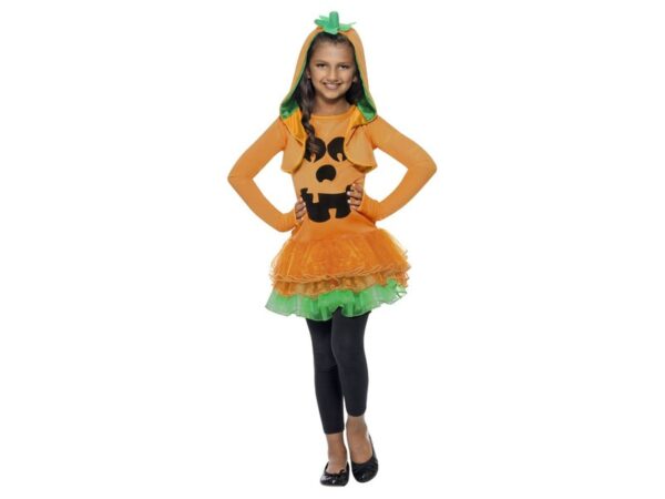 Costum Halloween dovlecica