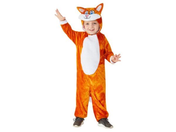 Costum carnaval mica pisica