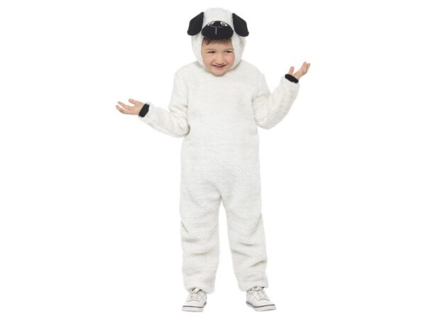 Costum carnaval miel