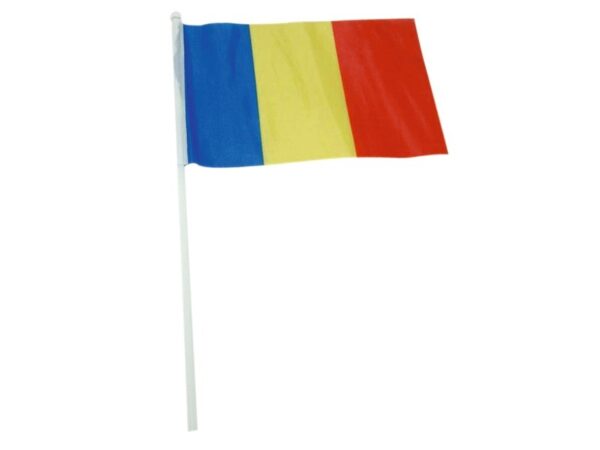Steag Romania