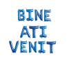 rig797_Set_litere_bine_ati_venit_albastru_30_lei-removebg-preview
