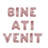 Set litere individuale " Bine ati venit "