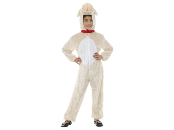 Costum carnaval miel crem