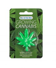 Frunza de cannabis crescatoare