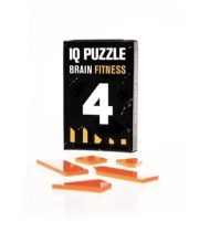 IQ Puzzle Number 4
