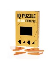 IQ Puzzle Rectangle