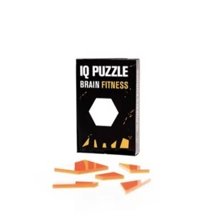 IQ Puzzle Hexagon