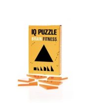 IQ Puzzle Triangle