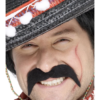 Mustata bandit mexican