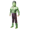 Costum Hulk